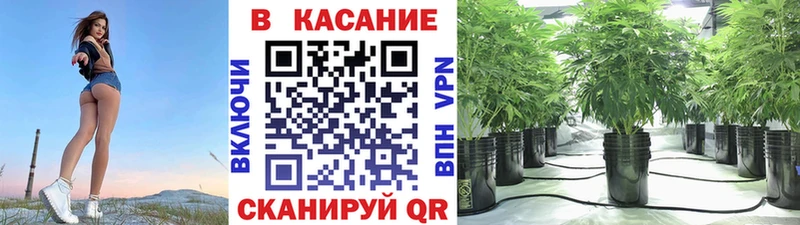 Где продают наркотики Надым Канабис  А ПВП  Псилоцибиновые грибы  Мефедрон 