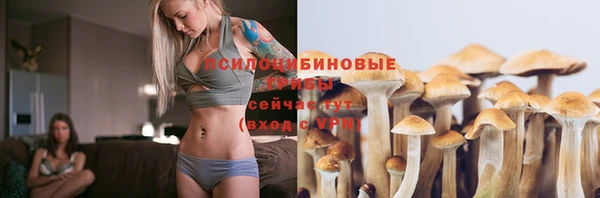 спиды Беломорск